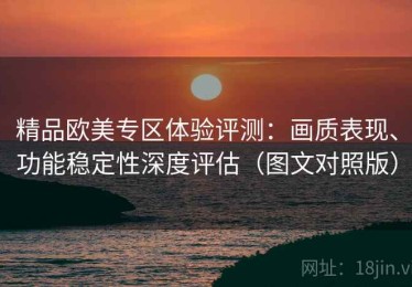 精品欧美专区体验评测：画质表现、功能稳定性深度评估（图文对照版）