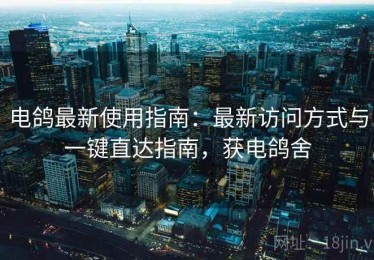 电鸽最新使用指南：最新访问方式与一键直达指南，获电鸽舍