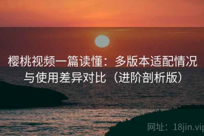 樱桃视频一篇读懂：多版本适配情况与使用差异对比（进阶剖析版）