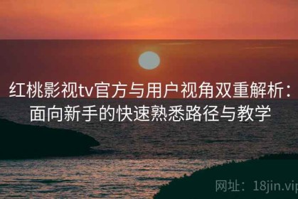 红桃影视tv官方与用户视角双重解析：面向新手的快速熟悉路径与教学