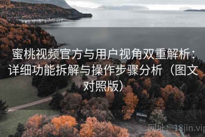 蜜桃视频官方与用户视角双重解析：详细功能拆解与操作步骤分析（图文对照版）