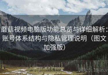 蘑菇视频电脑版功能总览与详细解析：账号体系结构与隐私管理说明（图文加强版）