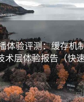 魅影直播体验评测：缓存机制、加载速度等技术层体验报告（快速上手版）