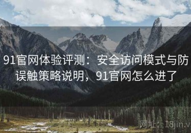 91官网体验评测：安全访问模式与防误触策略说明，91官网怎么进了