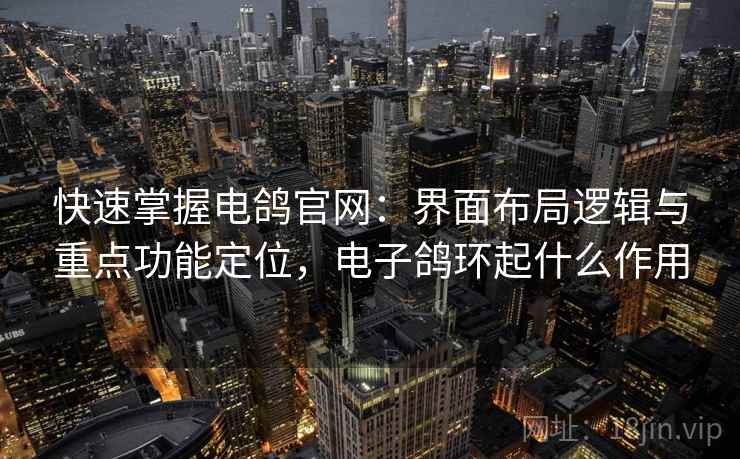 快速掌握电鸽官网：界面布局逻辑与重点功能定位，电子鸽环起什么作用