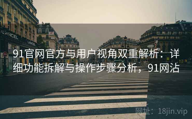 91官网官方与用户视角双重解析：详细功能拆解与操作步骤分析，91网沾