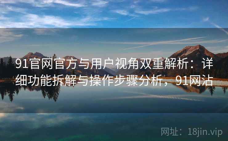 91官网官方与用户视角双重解析：详细功能拆解与操作步骤分析，91网沾