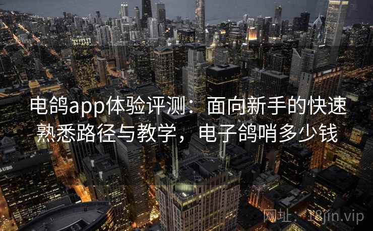 电鸽app体验评测：面向新手的快速熟悉路径与教学，电子鸽哨多少钱