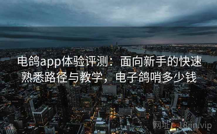 电鸽app体验评测：面向新手的快速熟悉路径与教学，电子鸽哨多少钱