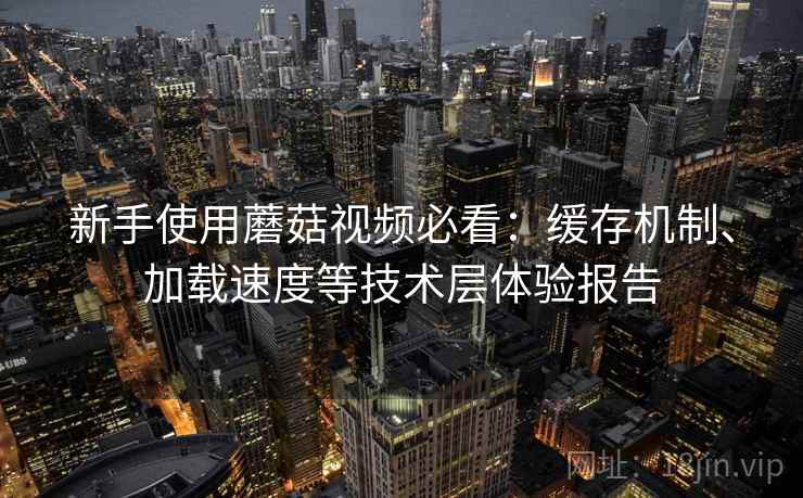 新手使用蘑菇视频必看：缓存机制、加载速度等技术层体验报告