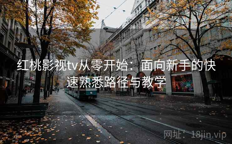 红桃影视tv从零开始：面向新手的快速熟悉路径与教学