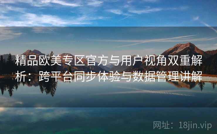 精品欧美专区官方与用户视角双重解析：跨平台同步体验与数据管理讲解