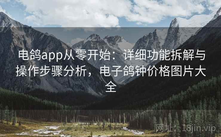 电鸽app从零开始：详细功能拆解与操作步骤分析，电子鸽钟价格图片大全
