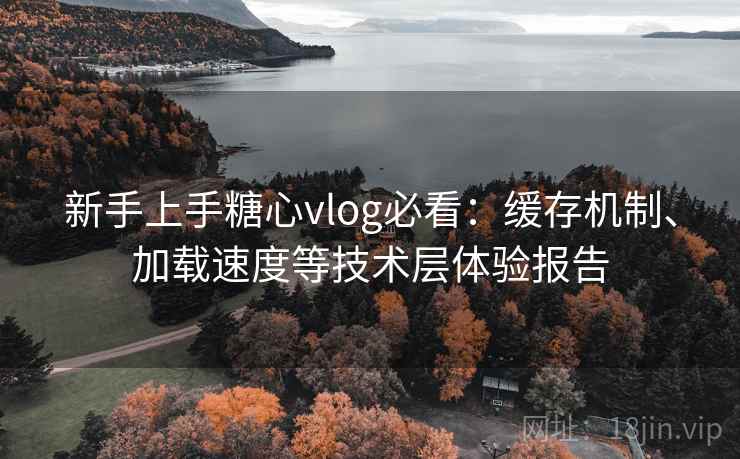 新手上手糖心vlog必看:缓存机制、加载速度等技术层体验报告 新手上手糖心vlog必看:缓存机制、加载速度等技术层体验报告