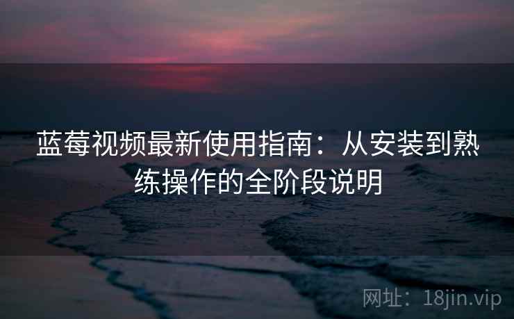 蓝莓视频最新使用指南：从安装到熟练操作的全阶段说明