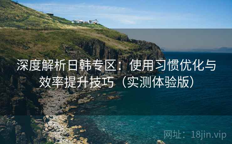 深度解析日韩专区：使用习惯优化与效率提升技巧（实测体验版）