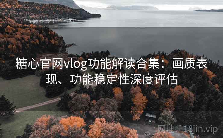 糖心官网vlog功能解读合集：画质表现、功能稳定性深度评估