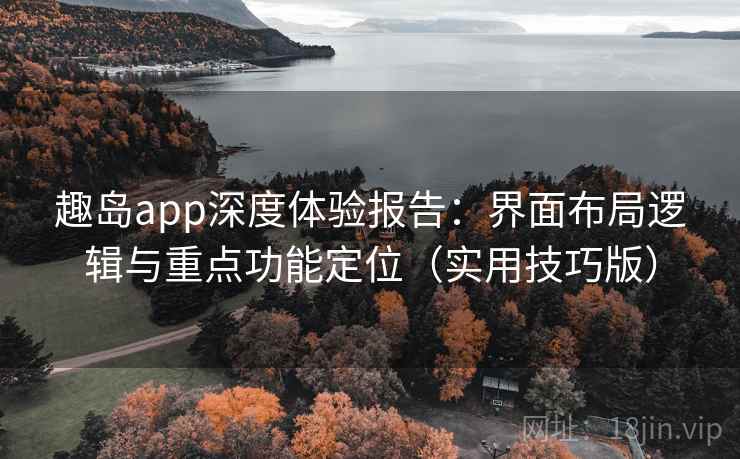 趣岛app深度体验报告：界面布局逻辑与重点功能定位（实用技巧版）