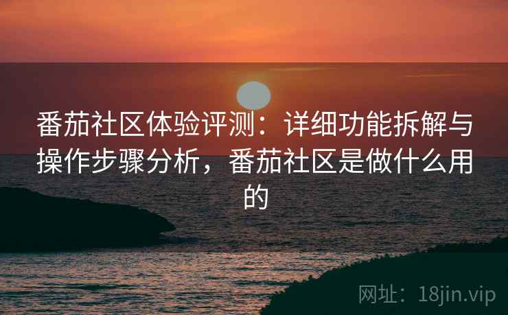 番茄社区体验评测：详细功能拆解与操作步骤分析，番茄社区是做什么用的