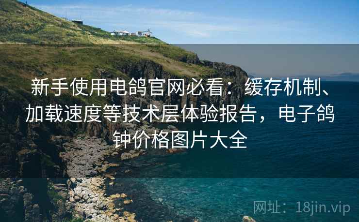 新手使用电鸽官网必看:缓存机制、加载速度等技术层体验报告,电子鸽钟价格图片大全 新手使用电鸽官网必看:缓存机制、加载速度等技术层体验报告,电子鸽钟价格图片大全
