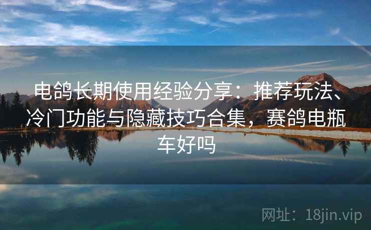 电鸽长期使用经验分享:推荐玩法、冷门功能与隐藏技巧合集,赛鸽电瓶车好吗 电鸽长期使用经验分享:推荐玩法、冷门功能与隐藏技巧合集,赛鸽电瓶车好吗