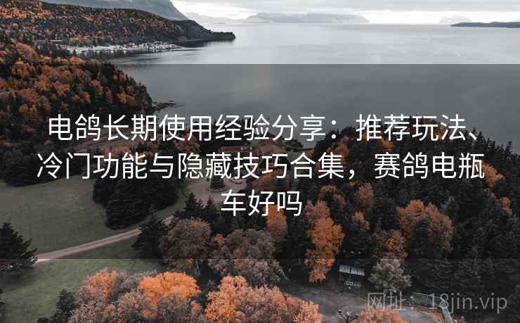 电鸽长期使用经验分享:推荐玩法、冷门功能与隐藏技巧合集,赛鸽电瓶车好吗 电鸽长期使用经验分享:推荐玩法、冷门功能与隐藏技巧合集,赛鸽电瓶车好吗
