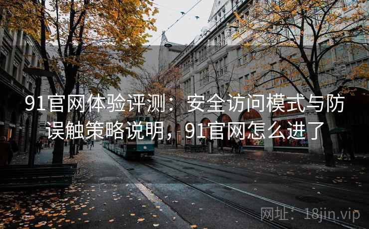 91官网体验评测:安全访问模式与防误触策略说明,91官网怎么进了 91官网体验评测:安全访问模式与防误触策略说明,91官网怎么进了