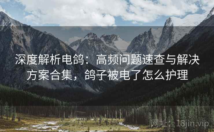 深度解析电鸽：高频问题速查与解决方案合集，鸽子被电了怎么护理
