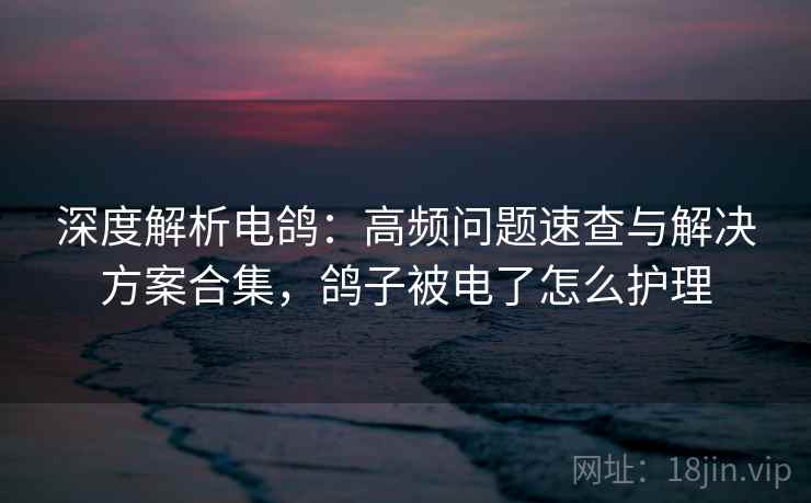 深度解析电鸽：高频问题速查与解决方案合集，鸽子被电了怎么护理