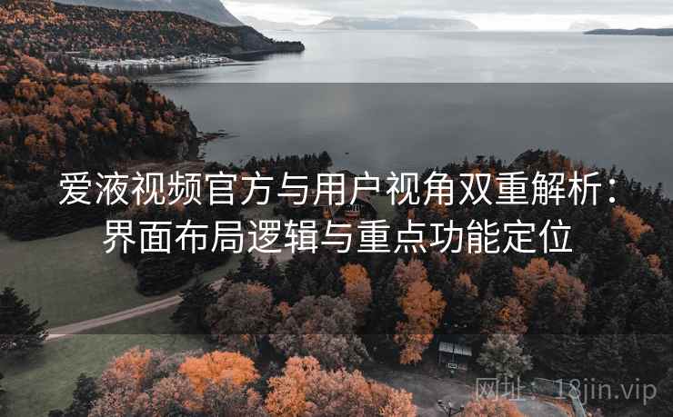 爱液视频官方与用户视角双重解析：界面布局逻辑与重点功能定位